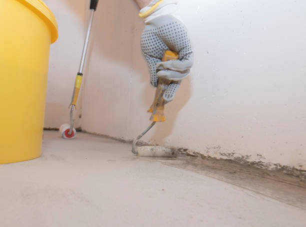 Best Pest Exclusion Services  in Moodus, CT